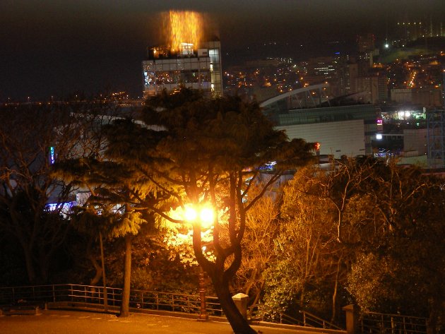 公園内の夜景